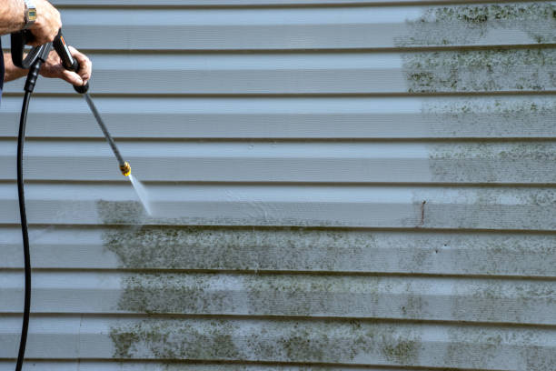 Storm Damage Siding Repair in Little Canada, MN